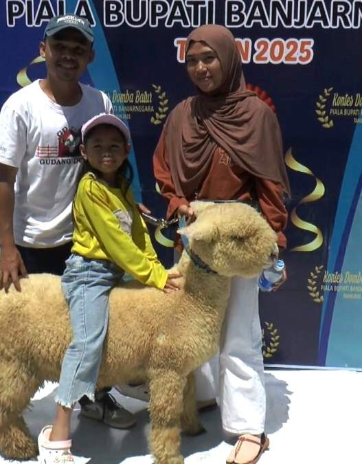 Domba batur ikon baru wisata dieng