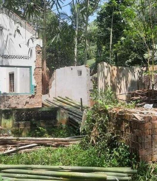 Dusun puntingan sepi dan terbengkalai