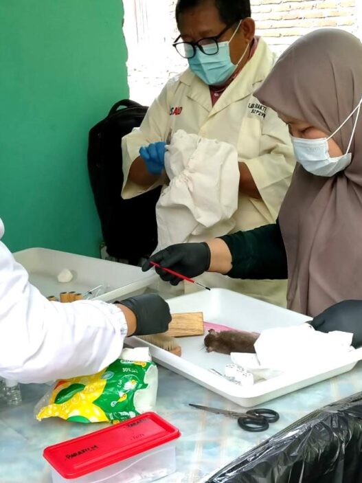 Enam warga meninggal akibat leptospirosis