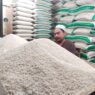 Harga beras di 191 daerah masih tinggi