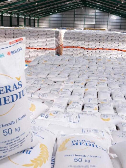 Harga beras dunia anjlok