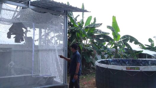 Hidup lagi usai vakum
