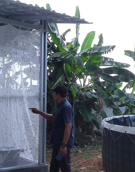 Hidup lagi usai vakum