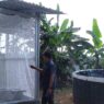 Hidup lagi usai vakum