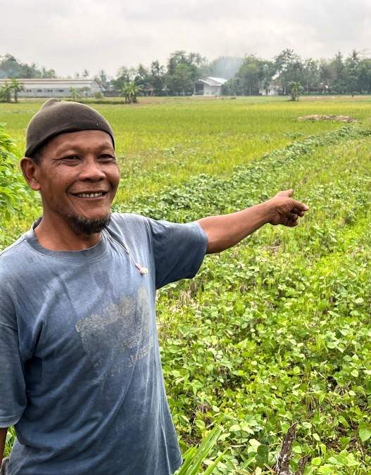 Kemarau basah, petani gelisah