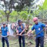 King kobra cari pasangan di dapur warga