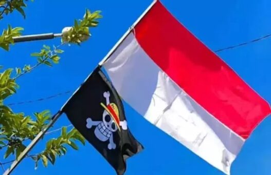 Konsekuensi pengibaran bendera one piece