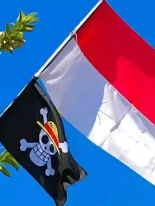 Konsekuensi pengibaran bendera one piece