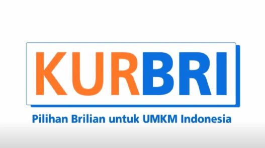 Kur bri
