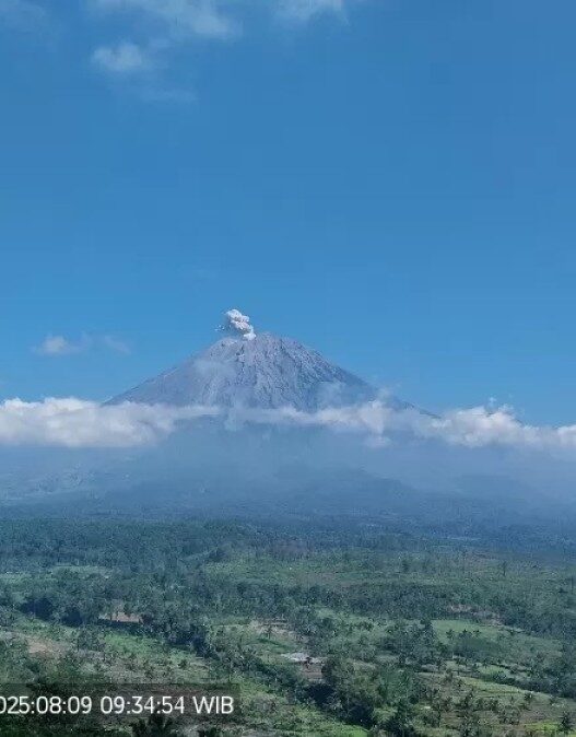Letusan semeru mencapai 500 meter