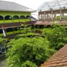Min 1 banyumas terus berkembang