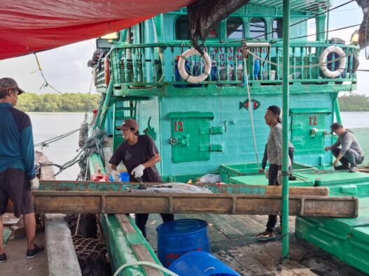 Nilai lelang ikan capai rp 30 juta