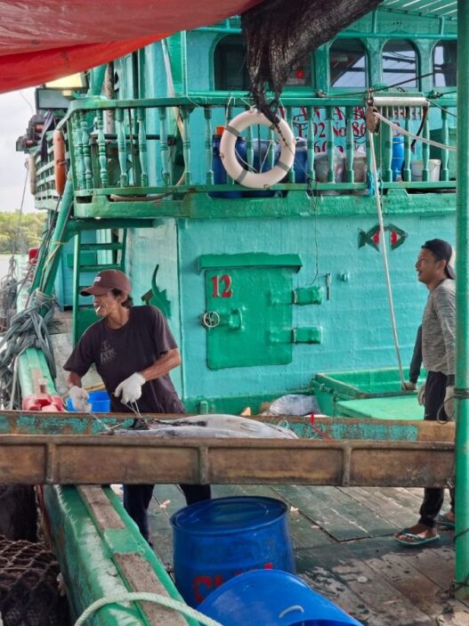 Nilai lelang ikan capai rp 30 juta