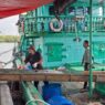 Nilai lelang ikan capai rp 30 juta