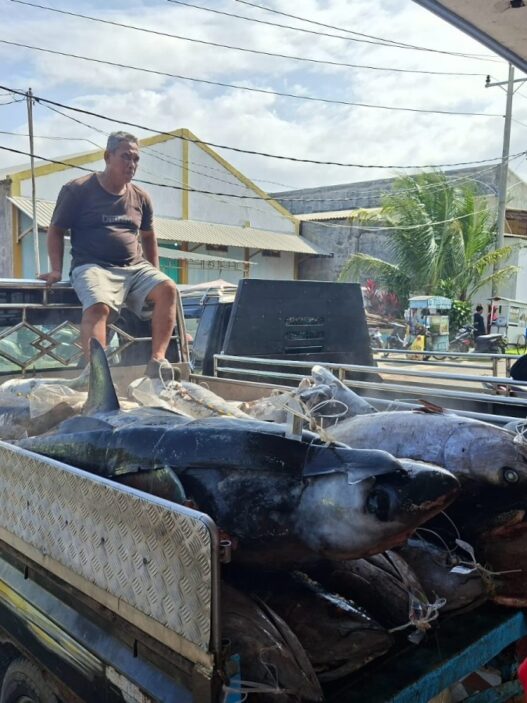 Ombak tinggi, hasil tangkapan ikan turun