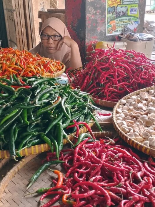 Pasokan melimpah harga cabai murah
