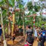 Pekan kedua agustus, semarak lomba mulai meletus