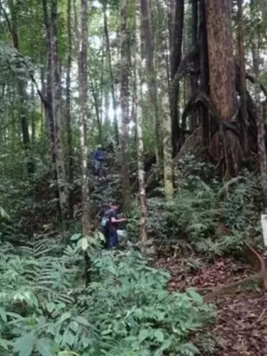 Penemuan 19 flora dan fauna baru