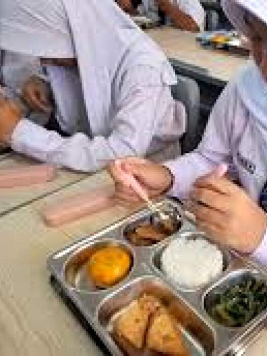 Pesantren masih minim terlibat di mbg