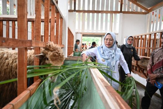 Petani giritirta bisa olah pupuk sendiri