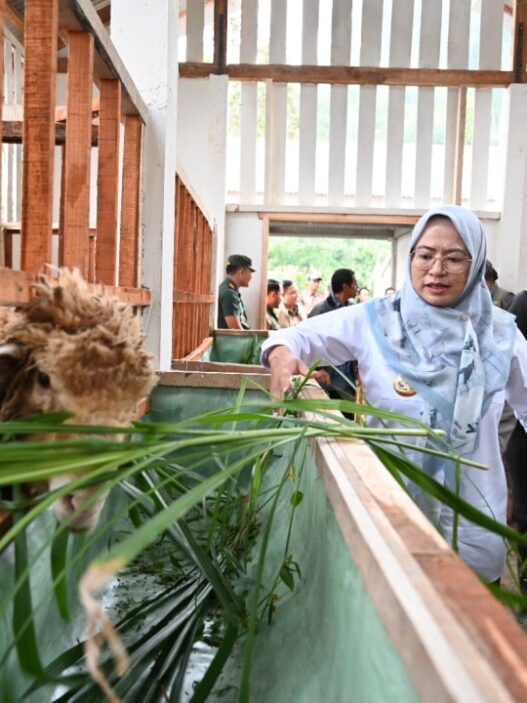 Petani giritirta bisa olah pupuk sendiri