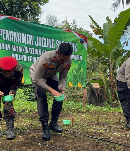 Polres gandeng ponpes tanam jagung