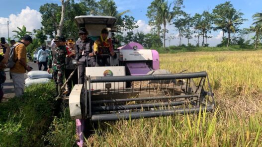Realisasi luas tambah tanam capai 53 persen