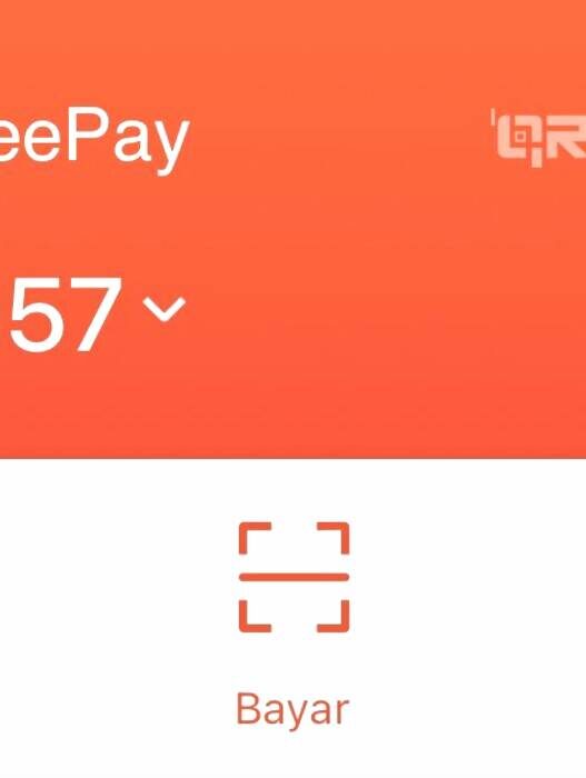 Saldo shopeepay