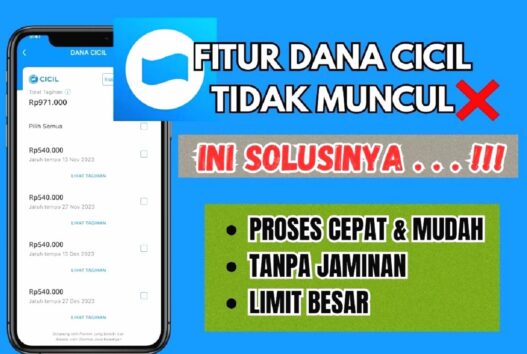 Sebagai layanan pembayaran dengan cicilan, fitur dana cicil kadangkala tidak muncul karena faktor tertentu