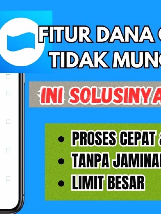 Sebagai layanan pembayaran dengan cicilan, fitur dana cicil kadangkala tidak muncul karena faktor tertentu