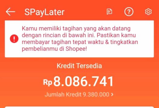 Shopee paylater memberikan kemudahan belanja cicilan, namun wajib bayar tepat waktu