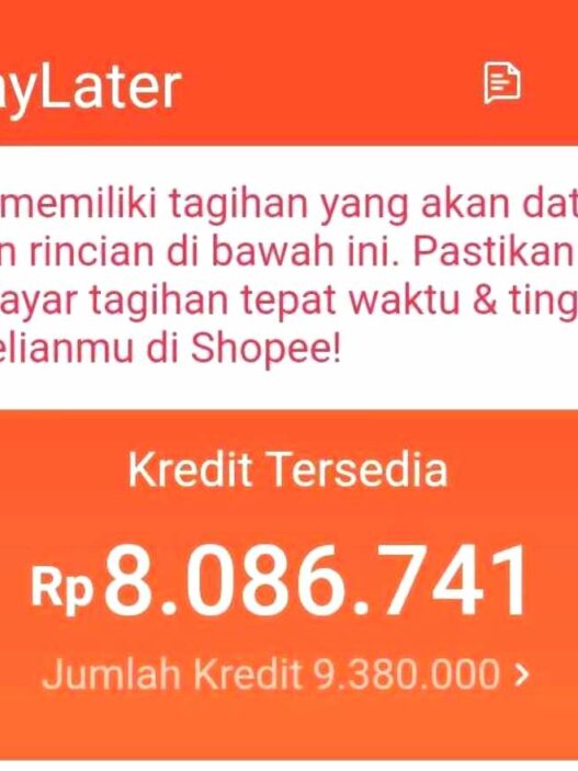 Shopee paylater memberikan kemudahan belanja cicilan, namun wajib bayar tepat waktu