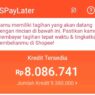 Shopee paylater memberikan kemudahan belanja cicilan, namun wajib bayar tepat waktu
