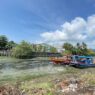 Sungai kodok kumuh dan bau