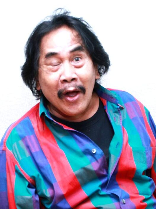 Terima penghargaan bintang budaya