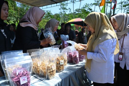 Umkm jadi tulang punggung ekonomi desa