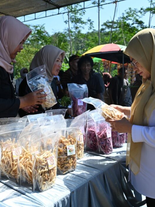 Umkm jadi tulang punggung ekonomi desa