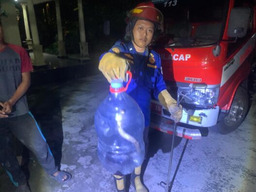 Warga panik, ular kobra masuk rumah