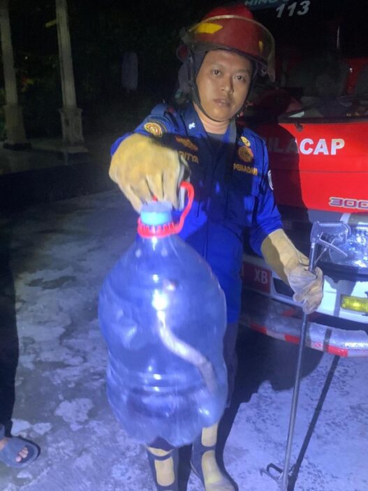Warga panik, ular kobra masuk rumah