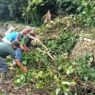 22 rumah rusak diterjang angin kencang