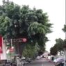 Aktivitas berangsur normal