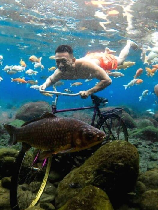 Aktivitas menarik bawah air di wisata umbul ponggok klaten