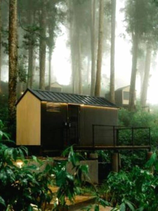 Bobocabin baturraden tawarkan penginapan di tengah alam yang sejuk
