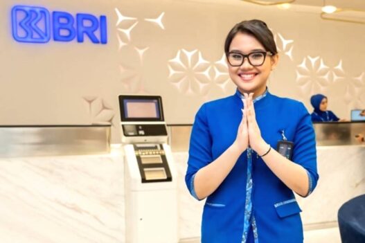 Brilian internship program