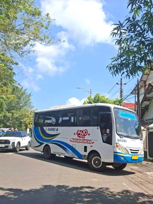 Bus perintis damri diminati