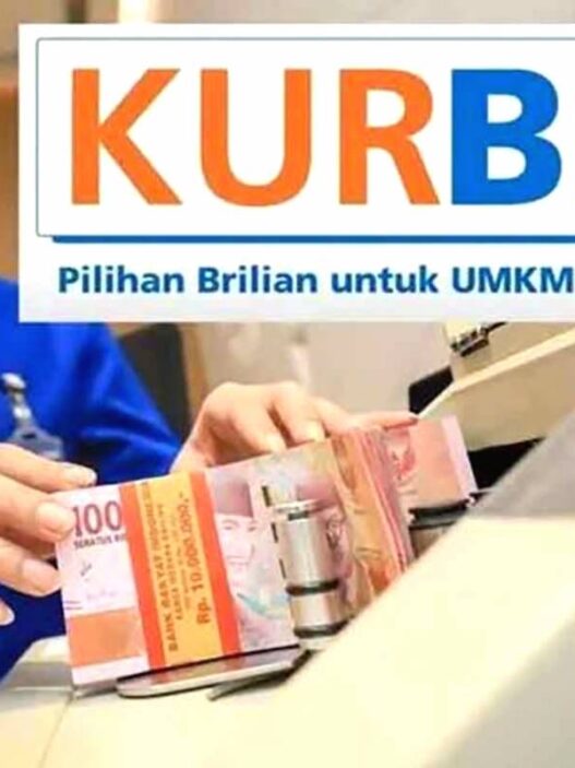 Cicilan kur bri
