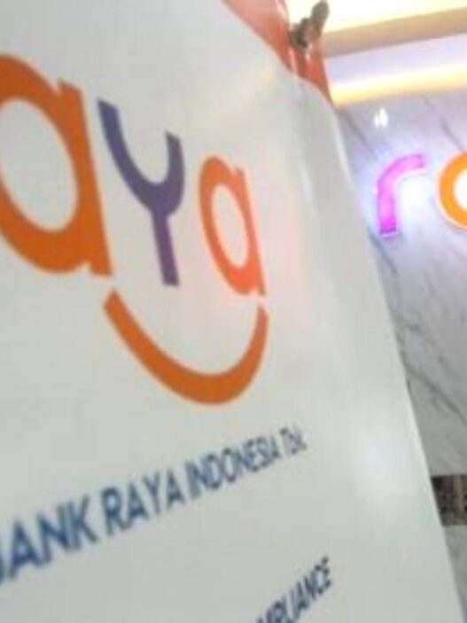 Fitur raya story dalam raya app untuk memudahkan pengelolaan keuangan nasabah