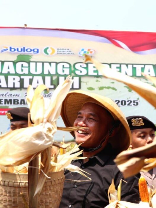 Ketua dprd jateng sumanto saat mengikuti acara panen raya jagung serentak kuartal iii tahun 2025 di desa ngijo, kecamatan tasikmadu, kabupaten karanganyar 1