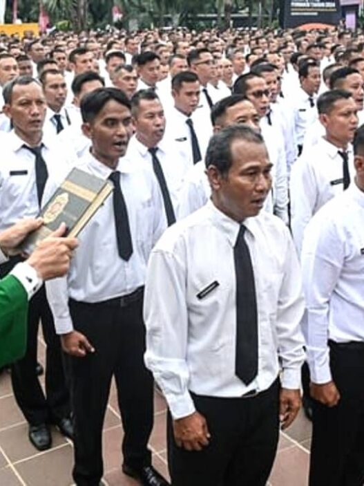 Momen pelantikan pppk paruh waktu