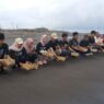 Pelepaskan tukik libatkan komunitas anak muda
